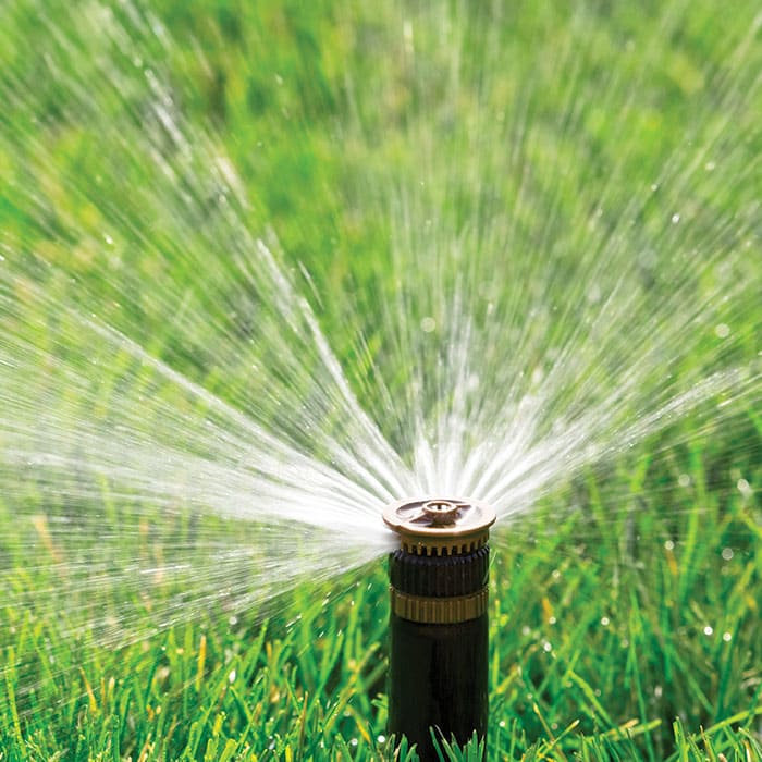 Backed By Education Background