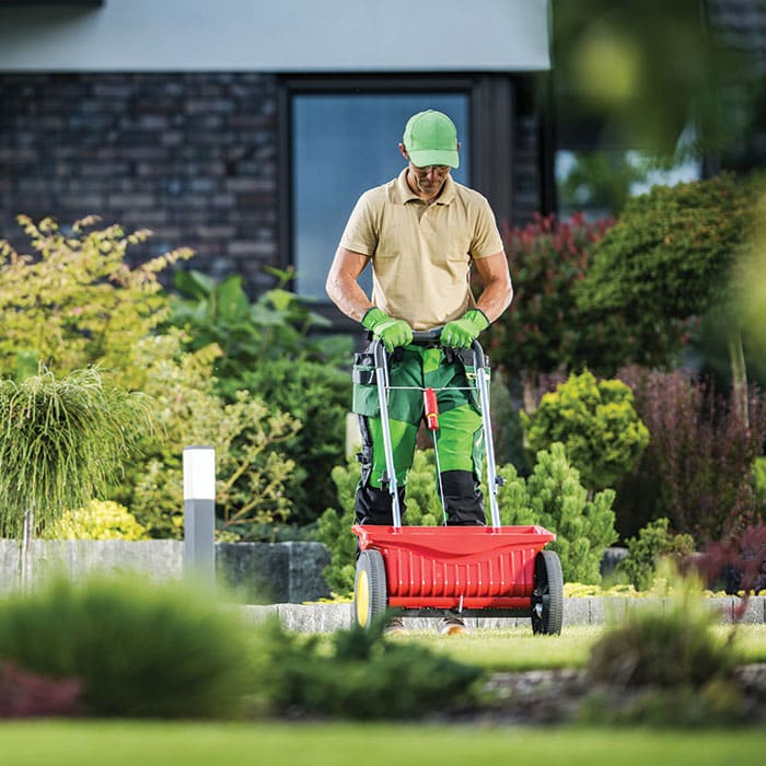 Family-Owned and Operated Background