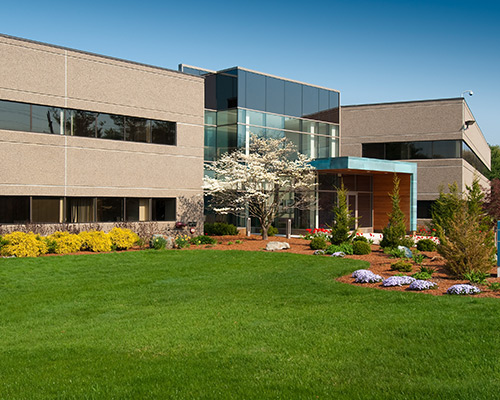 Commercial lawn care medina